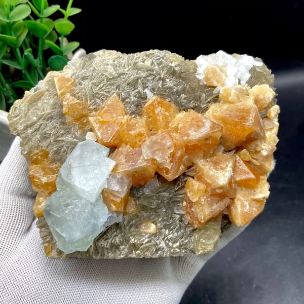 Orange scheelite crystals with pale blue fluorite on mica from Xuebaoding, Sichuan, China, reverse side