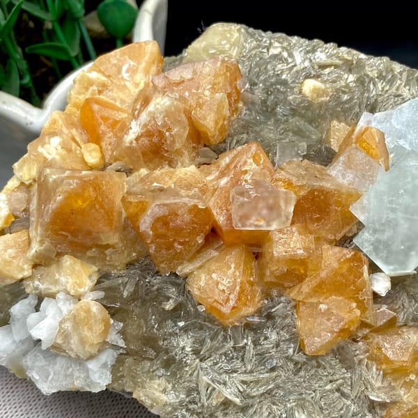 Orange scheelite crystals with pale blue fluorite on mica from Xuebaoding, Sichuan, China, detail of the matrix contact