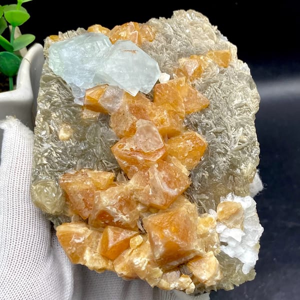 Orange scheelite crystals with pale blue fluorite on mica from Xuebaoding, Sichuan, China, overall view
