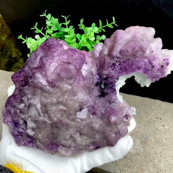 Large purple fluorite boulder with white crystal cap from Guizhou, China, held in gloved hand