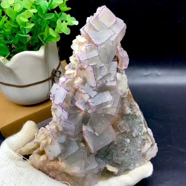Plate of blue-and-white porcelain fluorite from Guizhou, China, held in gloved hand