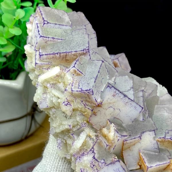Plate of blue-and-white porcelain fluorite from Guizhou, China, close-up of terminations