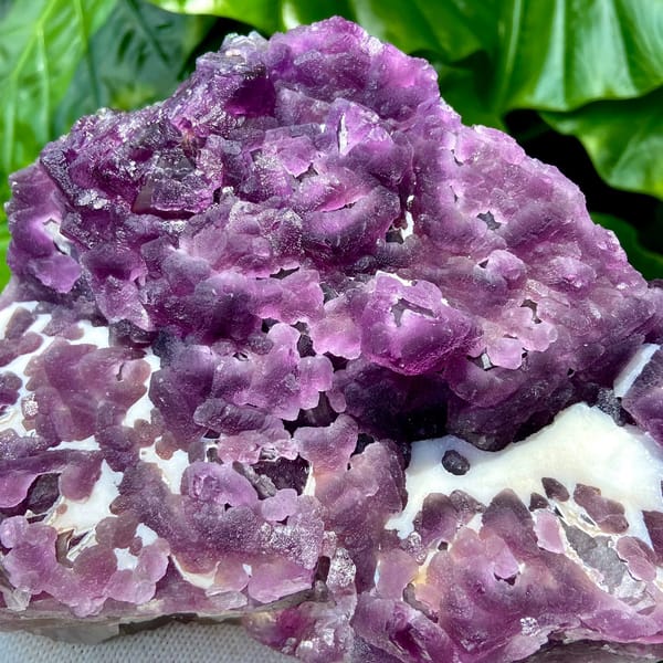 Large plate of purple recrystallised fluorite octahedra from Zhejiang, China, second angle
