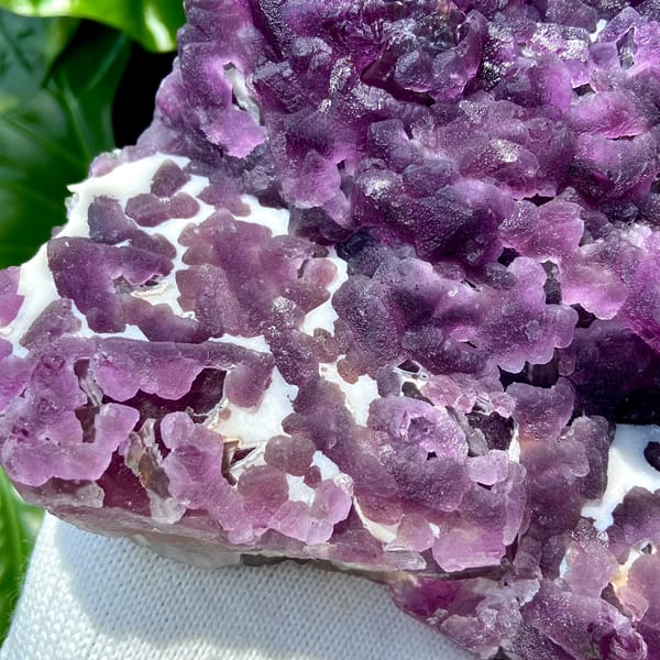 Large plate of purple recrystallised fluorite octahedra from Zhejiang, China, close-up of the crystal faces