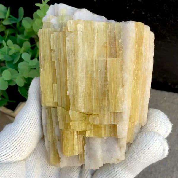 Bundle of golden-yellow prismatic topaz columns from Germany, held in gloved hand