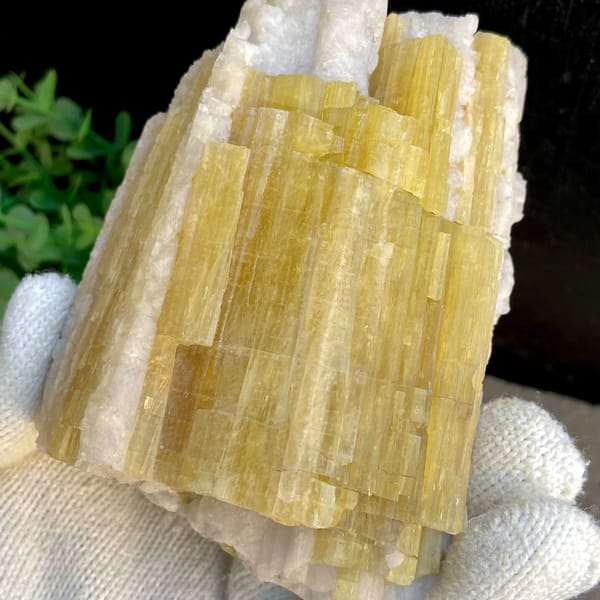 Bundle of golden-yellow prismatic topaz columns from Germany, close-up of the crystal faces