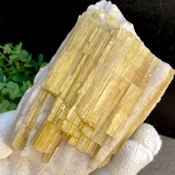 Bundle of golden-yellow prismatic topaz columns from Germany, reverse side
