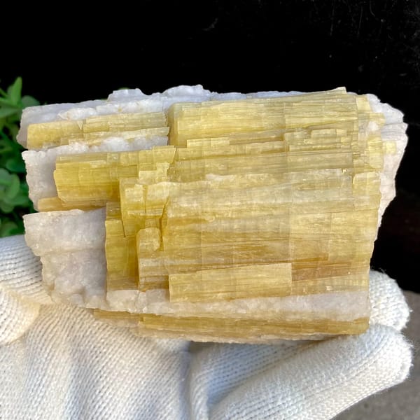 Bundle of golden-yellow prismatic topaz columns from Germany, detail of the matrix contact