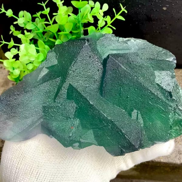 Block of large green fluorite octahedra from Zhejiang, China, held in gloved hand