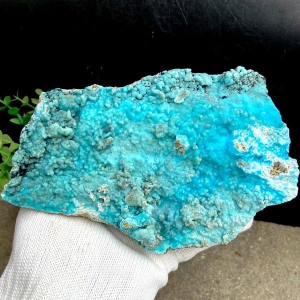 Large plate of turquoise-blue botryoidal hemimorphite from Yunnan, China, reverse side