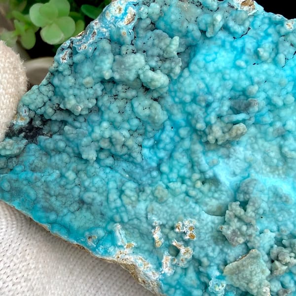 Large plate of turquoise-blue botryoidal hemimorphite from Yunnan, China, top view