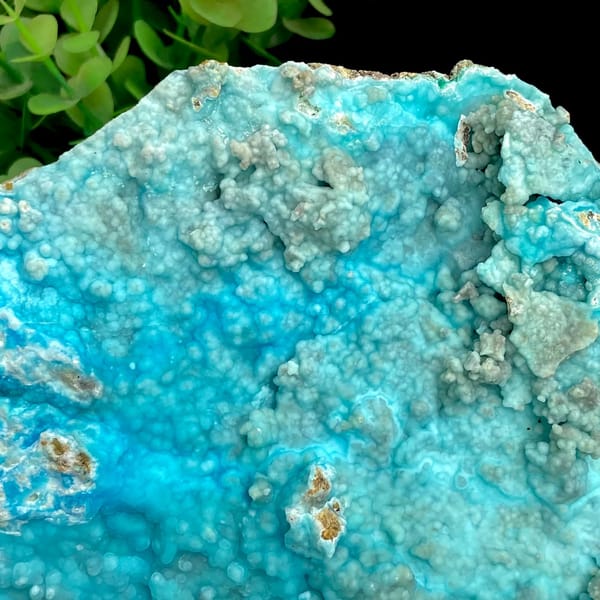 Large plate of turquoise-blue botryoidal hemimorphite from Yunnan, China, side view