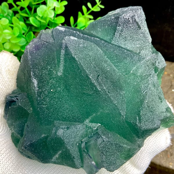 Cluster of green fluorite octahedra with purple edges from Zhejiang, China, reverse side