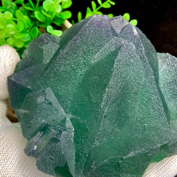 Cluster of green fluorite octahedra with purple edges from Zhejiang, China, top view