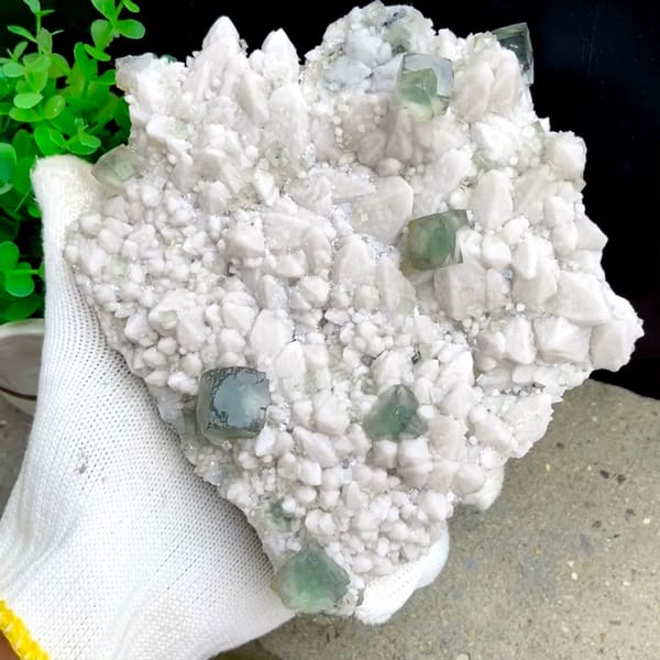 White quartz plate with pale green fluorite cubes from Inner Mongolia, China, held in gloved hand