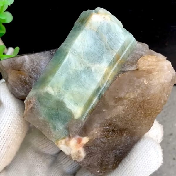 Large blue-green aquamarine prism in smoky quartz from Yunxiao, Fujian, China, held in gloved hand