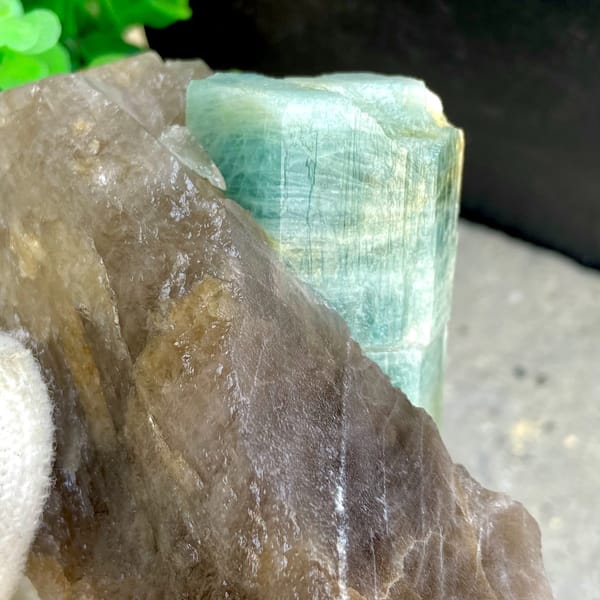 Large blue-green aquamarine prism in smoky quartz from Yunxiao, Fujian, China, close-up of terminations
