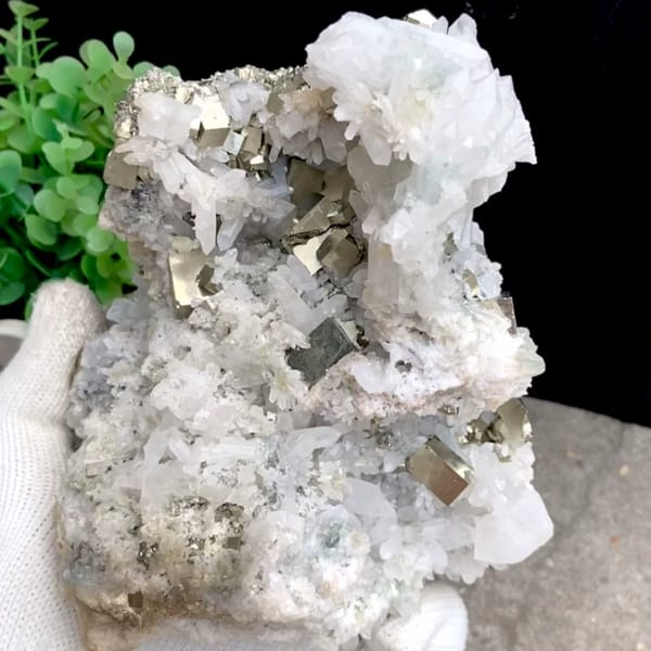 White quartz cluster studded with pyrite cubes from Shangbao, Hunan, China, held in gloved hand