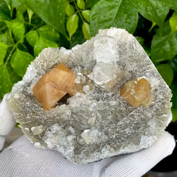 Orange scheelite and frosted fluorite on silvery mica from Xuebaoding, Sichuan, China, held in gloved hand