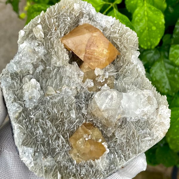 Orange scheelite and frosted fluorite on silvery mica from Xuebaoding, Sichuan, China, close-up of the crystal faces