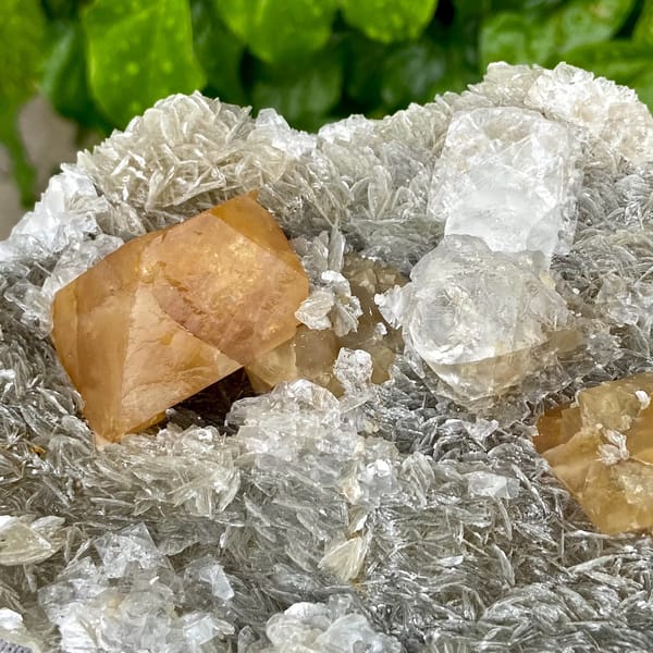 Orange scheelite and frosted fluorite on silvery mica from Xuebaoding, Sichuan, China, reverse side