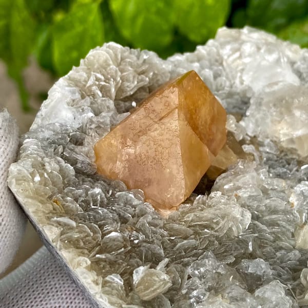 Orange scheelite and frosted fluorite on silvery mica from Xuebaoding, Sichuan, China, top view