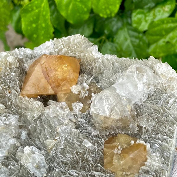 Orange scheelite and frosted fluorite on silvery mica from Xuebaoding, Sichuan, China, overall view