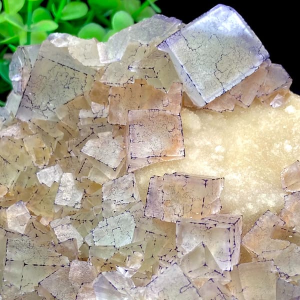Plate of purple-edged fluorite cubes from Guizhou, China, second angle