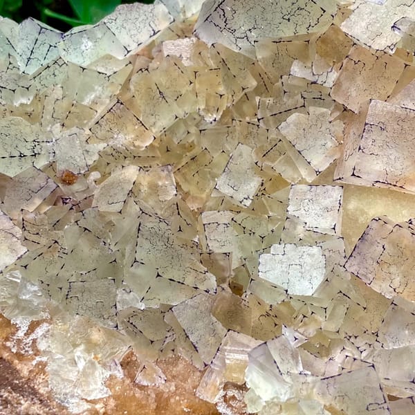 Plate of purple-edged fluorite cubes from Guizhou, China, close-up of the crystal faces