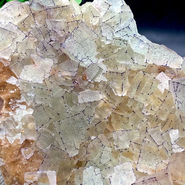 Plate of purple-edged fluorite cubes from Guizhou, China, reverse side