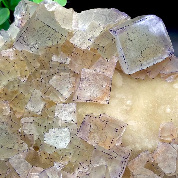 Plate of purple-edged fluorite cubes from Guizhou, China, top view