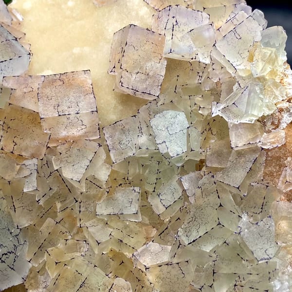 Plate of purple-edged fluorite cubes from Guizhou, China, side view