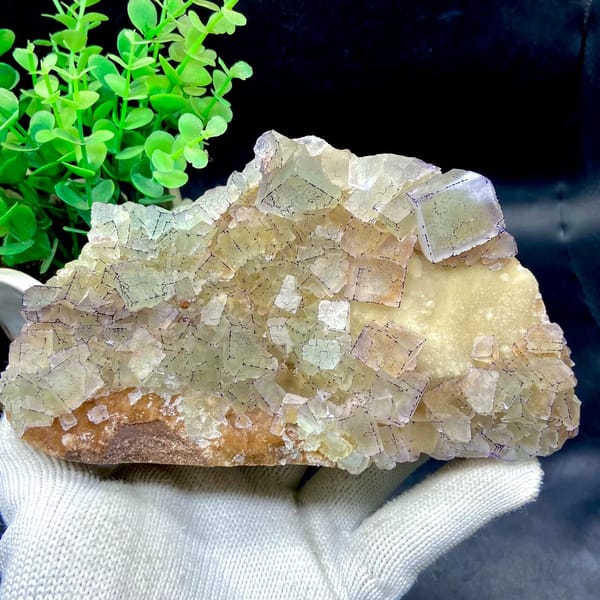 Plate of purple-edged fluorite cubes from Guizhou, China, overall view