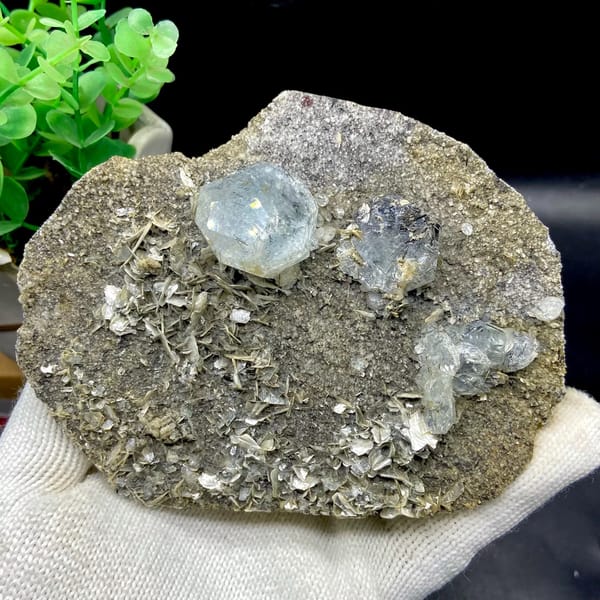 Pale blue aquamarine crystals with schorl on grey plate from Sichuan, China, second angle