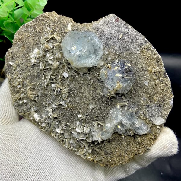 Pale blue aquamarine crystals with schorl on grey plate from Sichuan, China, close-up of the crystal faces