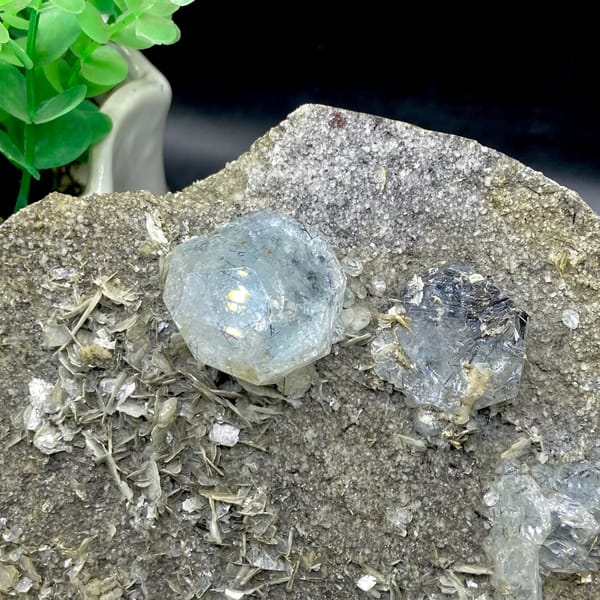 Pale blue aquamarine crystals with schorl on grey plate from Sichuan, China, reverse side