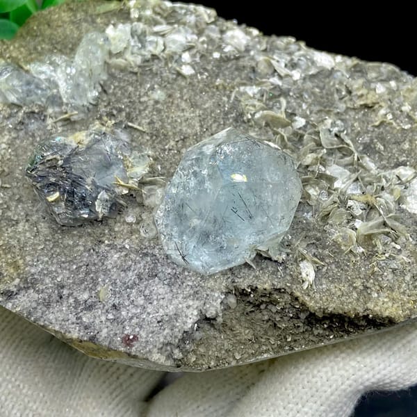 Pale blue aquamarine crystals with schorl on grey plate from Sichuan, China, top view