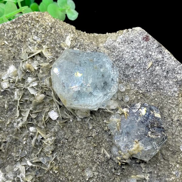 Pale blue aquamarine crystals with schorl on grey plate from Sichuan, China, side view