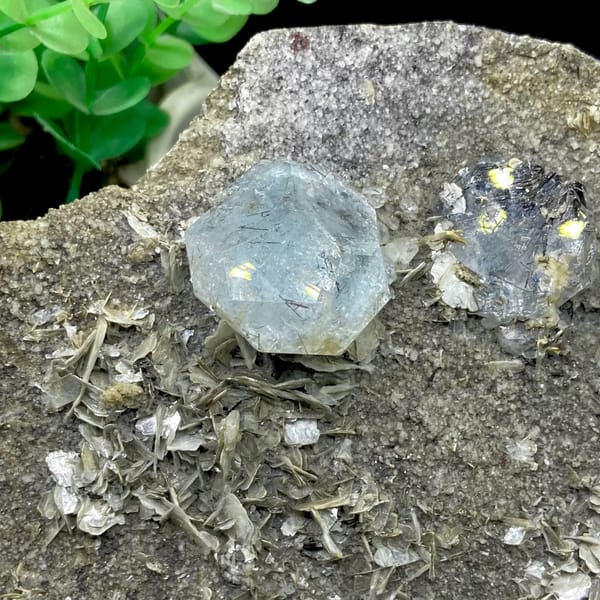 Pale blue aquamarine crystals with schorl on grey plate from Sichuan, China, close-up of terminations