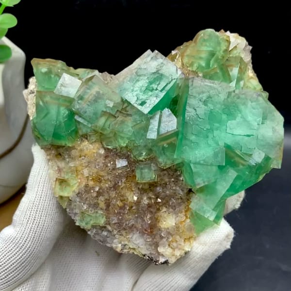 Dome of transparent sea-green fluorite cubes from Hebei, China, held in gloved hand