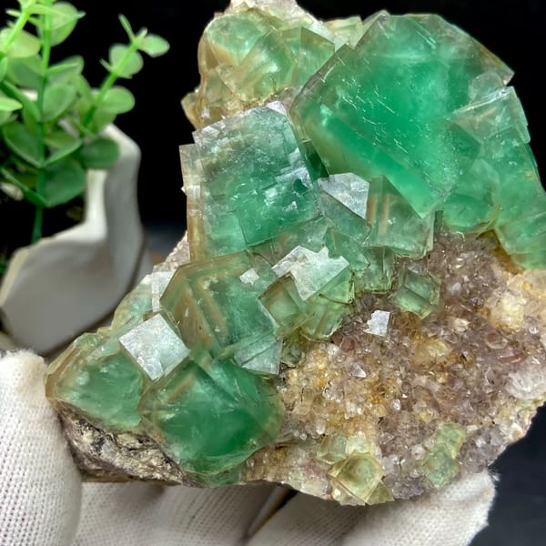 Dome of transparent sea-green fluorite cubes from Hebei, China, top view
