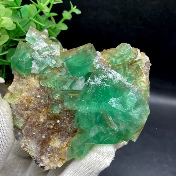 Dome of transparent sea-green fluorite cubes from Hebei, China, detail of the matrix contact