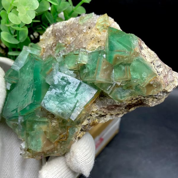 Dome of transparent sea-green fluorite cubes from Hebei, China, side view