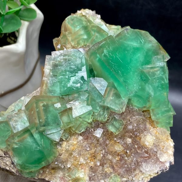 Dome of transparent sea-green fluorite cubes from Hebei, China, close-up of terminations