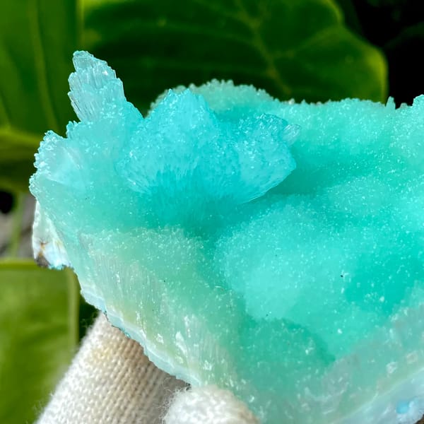 Mound of mint-green acicular aragonite from Sichuan, China, reverse side