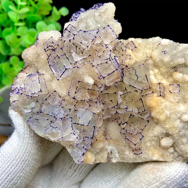 Pale fluorite cubes outlined in purple on white quartz from Guizhou, China, close-up of the crystal faces