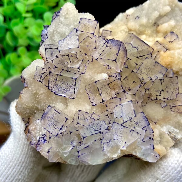 Pale fluorite cubes outlined in purple on white quartz from Guizhou, China, reverse side
