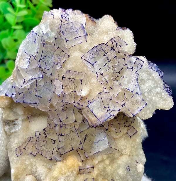 Pale fluorite cubes outlined in purple on white quartz from Guizhou, China, close-up of terminations