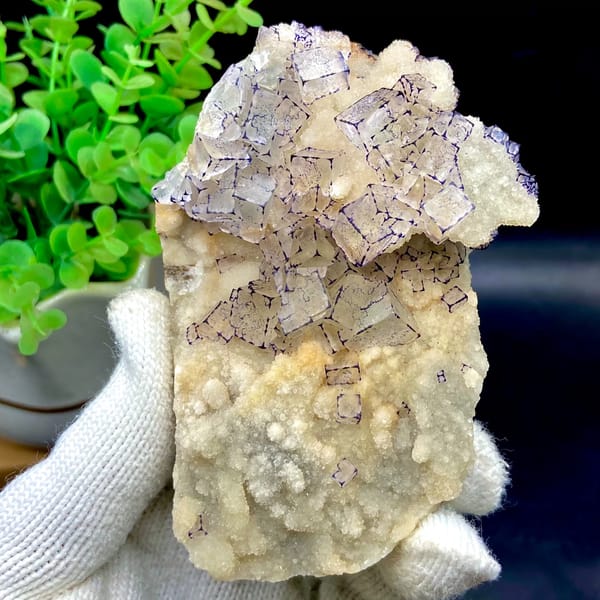 Pale fluorite cubes outlined in purple on white quartz from Guizhou, China, overall view