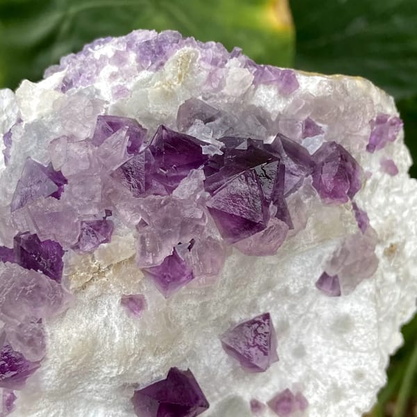 Purple-red fluorite octahedra on white recrystallised block from Zhejiang, China, reverse side